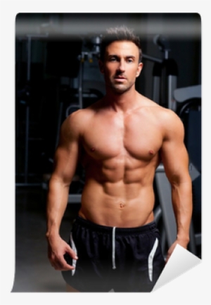 Fitness Shaped Muscle Man Posing On Gym Wall Mural - Homefront Slim Pro-xv1000 Abdominal Toning Belt #2045977