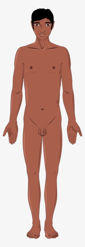 Download The Image - Indian Girl Hd Png #2046000