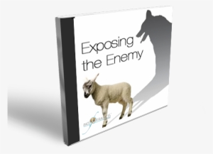 Exposing The Enemy - Mountain Goat #2046825