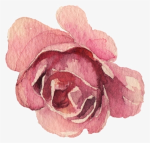 Image Du Blog Zezete2 - Garden Roses #2047089