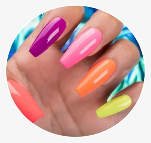 Nails And Price List #2047117