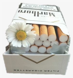 Clip Freeuse Stock Flower Aesthetic Badgirl Malboro - Cigarettes And Flowers #2047487