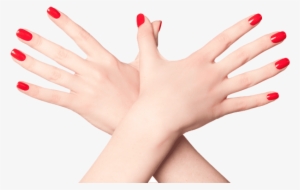 Free Png Nails Color Png Images Transparent - Nails Hand Clear Background #2047488