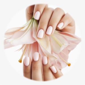 Hand & Feet Care - Classic Manicure #2047517