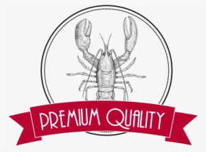 The Gentleman Lobster - Philippians 4 19 Best #2048886