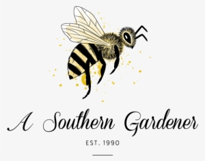 A Gardening And Home Decor Store / Williamsburg, Va - Net-winged Insects #2049737