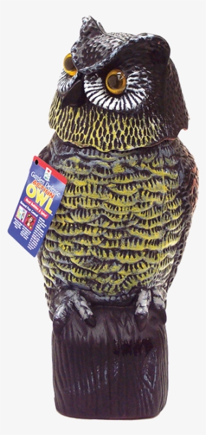 Easy Gardener Garden Defense Action Owl - Easy Gardener Garden Defense Action Owl 8011 #2049968