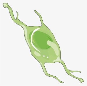 Astrocyte #2050266