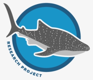 About The Whale Shark Research Project - Schenker Barden Acoustic Project Gipsy #2050424