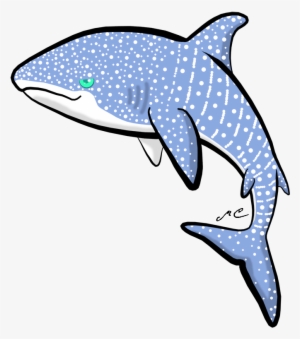 Free Free 159 Whale Shark Svg Free SVG PNG EPS DXF File