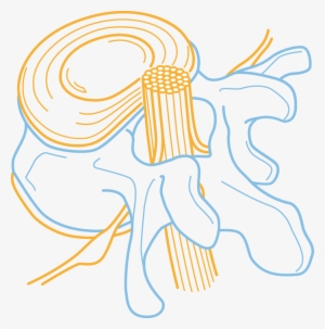 Spinal Cord Injury Centre - Balgrist University Hospital #2050524