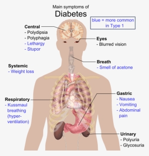 Main Symptoms Of Diabetes #2051896