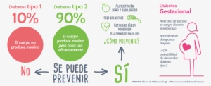 Test De Riesgo Genético Diabetes Tipo - Prevencion Diabetes Tipo 1 #2052374