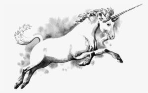 Leaping Unicorn - Unicorn Scotland #2054137