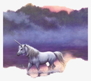 Nail Polish #2054139