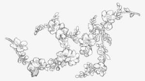Manga Flowers Png - Line Art #2055024