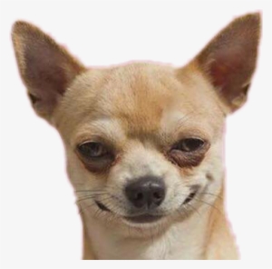 Perro Troll #2058108 Perro Troll #2058108