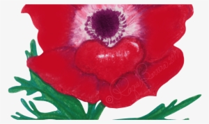 Reflection - Oriental Poppy #2058160