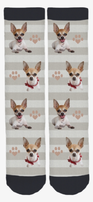 Pippa The Chihuahua Crew Socks - Sock #2058250
