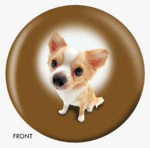 Chihuahua Bowling Ball #2058273