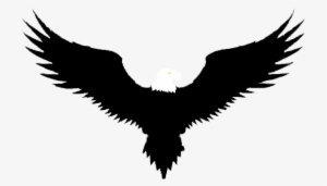 Freedom Fighters - World #2058471