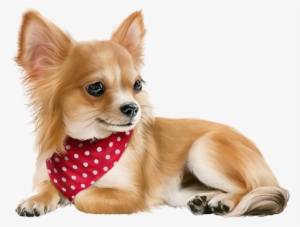 Dog Chihuahua, Tube, Clip Art, Dog Baby, Dog - Companion Dog #2058551