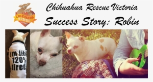 Linger Awhile By Russell Hoban #2058578