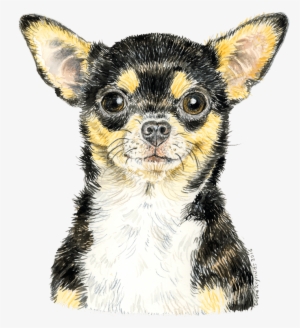 Chihuahua-watercolour1 - Chihuahua #2058594