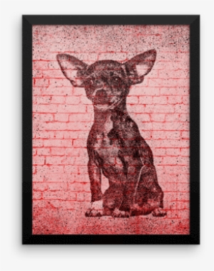 Chihuahua On Wall Framed Poster - Poster #2058833