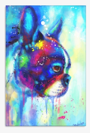 Boston Terrier Canvas 4 D153 - Chihuahua #2058922