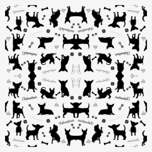 Chihuahua #2058943
