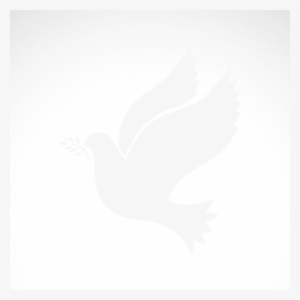 Simple Color Vinyl Peace Stickers Factory - Ethiopia And Eritrea Relationship #2059003