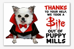 Each Kit Includes - Dog #2059047