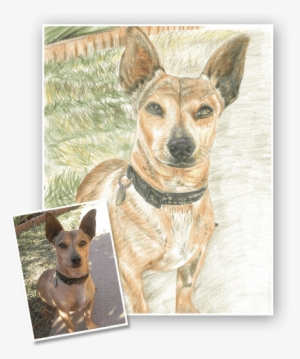 Choose Medium - Teddy Roosevelt Terrier #2059098