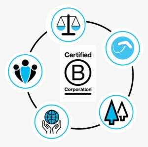 Website Design - B Corp #2059278