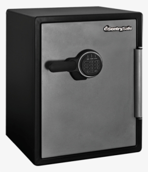 Model - Sentrysafe Sfw205fwc #2059821