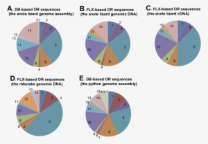 Relative Gene Composition Of Or Families Identified - Anoles #2060405