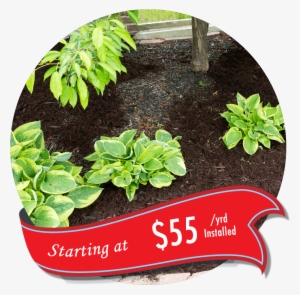 We Can Replace Your New Or Existing Mulch Beds With - Mulch And Pine Straw Design #2060471