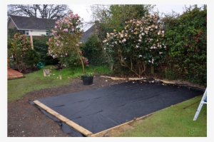 Membrane-beccibefore - Backyard #2060775