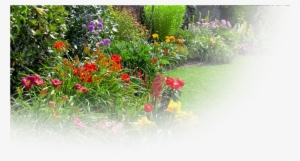 Garden Products - English Summer Garden #2060975