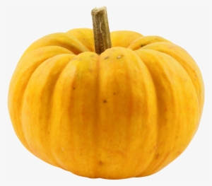 Transparent Background Punkin Png #2061687