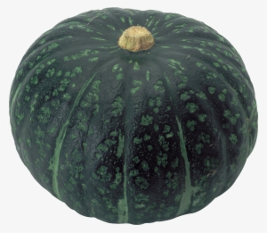 Sweet Pumpkin, Red Chestnut Pumpkin Seeds, Vegetable #2061769
