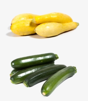 Squash #2061855