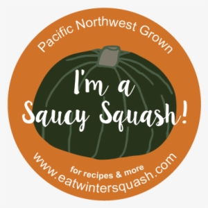 Squash Saucy Fullcolor - Bisuteria Paso A Paso #2062456