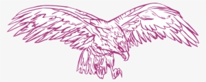 How To Set Use Hunting Eagle Drawing Svg Vector #2062621