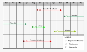 Calendario Delle Successioni Colturali Relativo Alla - Number #2062646