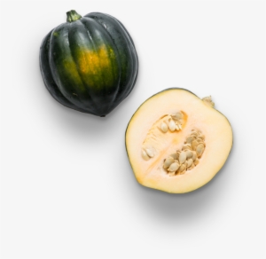 Acorn Squash - Calabaza #2062708