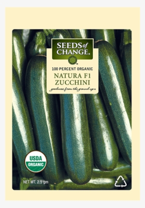 Organic Natura F-1 Zucchini Squash Seeds - Usda Organic #2062850