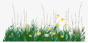 Activity 2 Preserve A Prairie - Prairie Grass Png #2063195