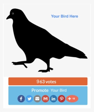 Generic 'your Bird Here' Graphic Stand In For Photo - Pink Pigeon Silhouette Shower Curtain #2063440